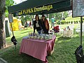 IMG_1386.jpg