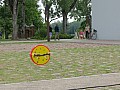 IMG_1412.jpg