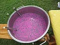 IMG_1448.jpg