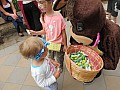 IMG_1465.jpg