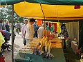 IMG_3642.jpg