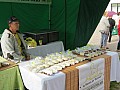 IMG_3649.jpg