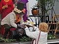 IMG_3732.jpg