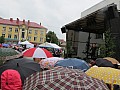 IMG_3745.jpg